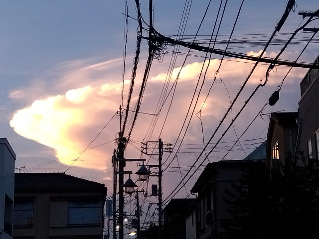 IMG_2023-07-10-18-57-29-363