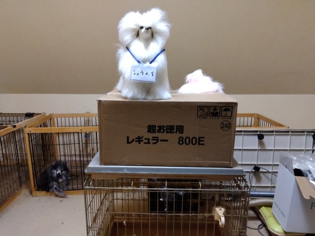 IMG_2023-08-11-18-41-53-971