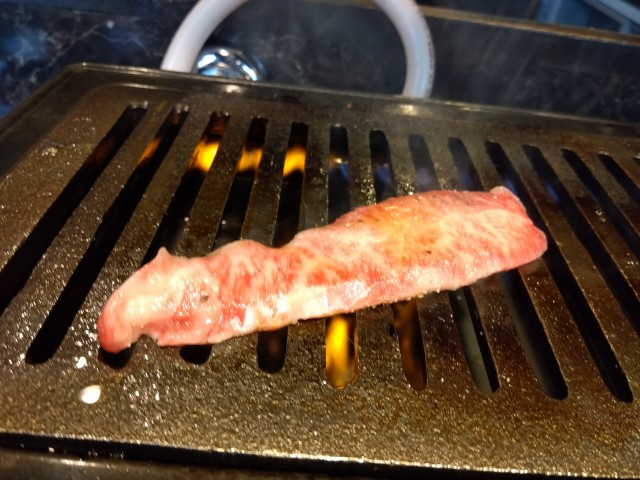 IMG_2023-08-13-12-04-51-504