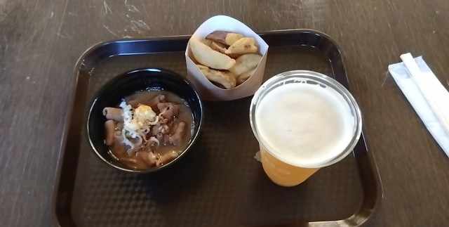 SNOW_20230818_173517_994