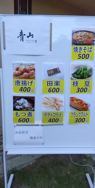 SNOW_20230818_175601_070