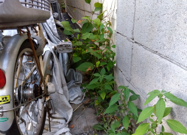 Screenshot_20230806-205656~2